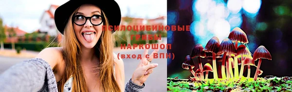 дурь Мегион