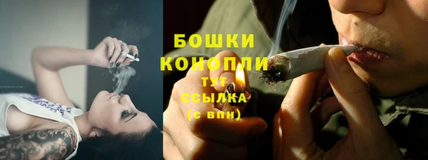 PSILOCYBIN Медвежьегорск