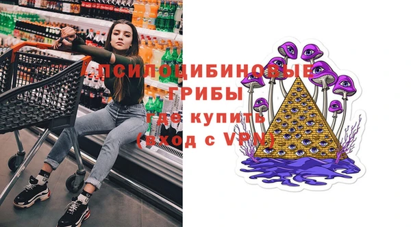 PSILOCYBIN Медвежьегорск