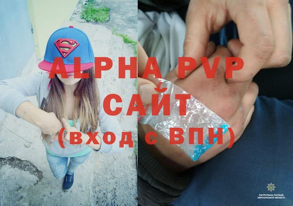PSILOCYBIN Медвежьегорск