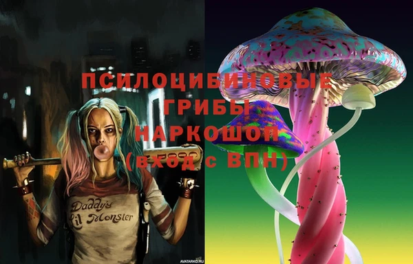 дурь Мегион