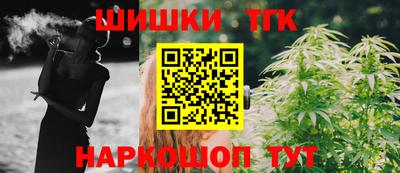 мдпв Партизанск