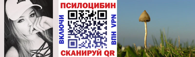 Галлюциногенные грибы прущие грибы  Пятигорск 