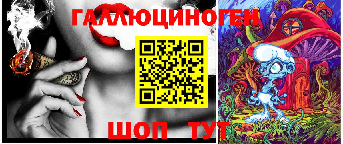 Псилоцибиновые грибы Cubensis Пятигорск