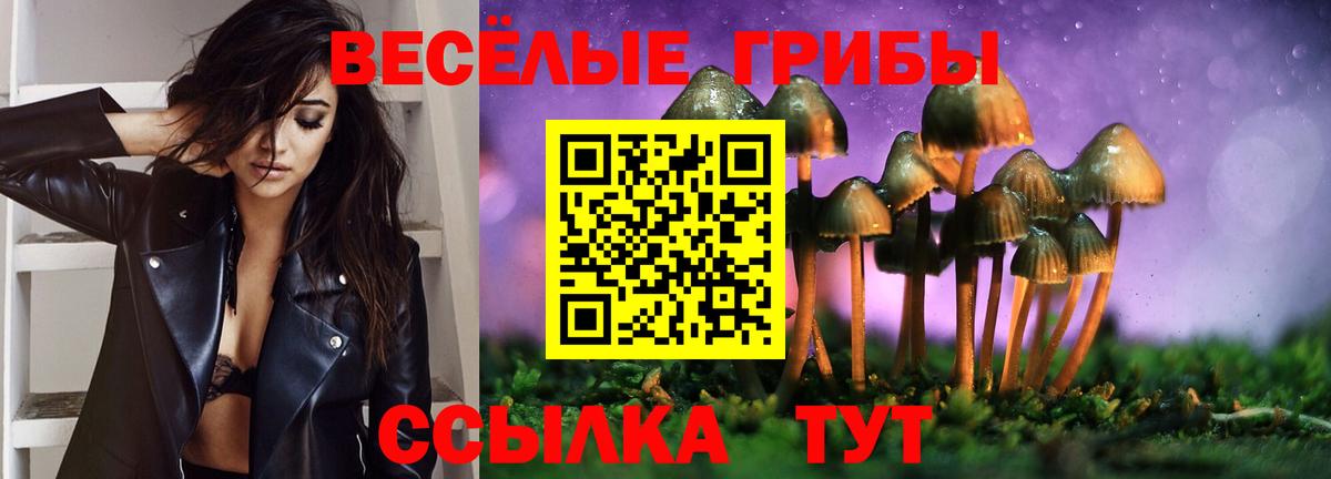 где продают наркотики  Псилоцибиновые грибы Psilocybe  Пятигорск  Вход с VPN  Галлюциногенные грибы мухоморы 