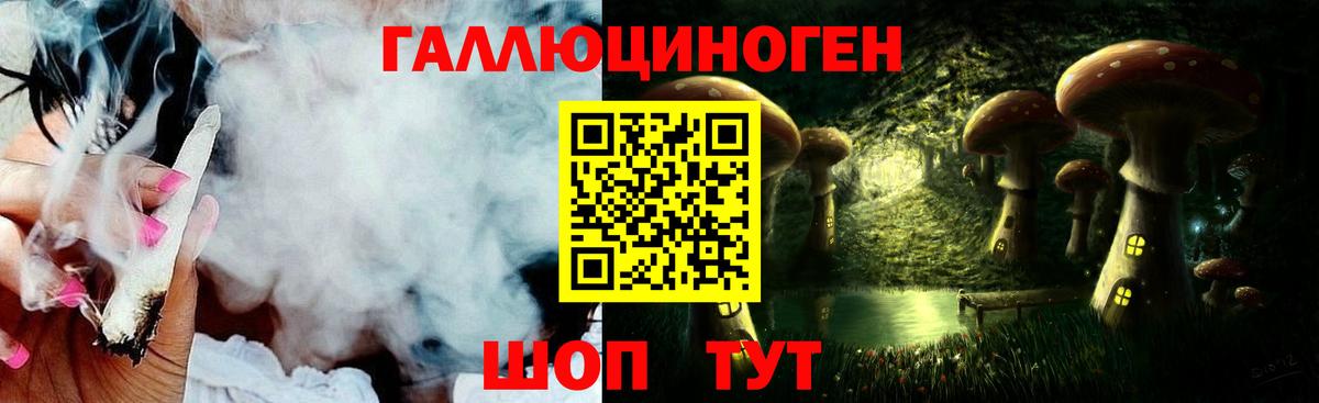 Псилоцибиновые грибы Cubensis Пятигорск